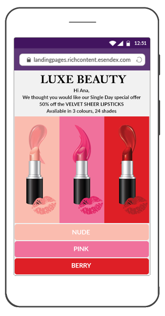 SMS Landing Page for Single Day offer preview