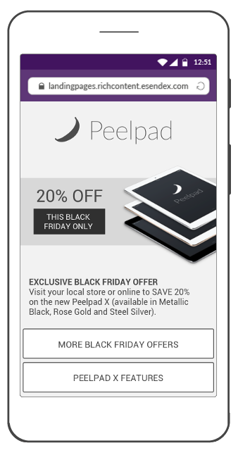 SMS Landing Page for Black Friday offer
